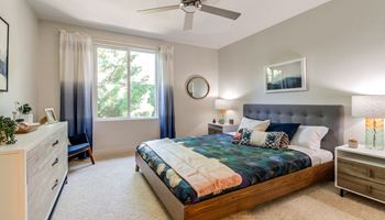 Ceiling fan